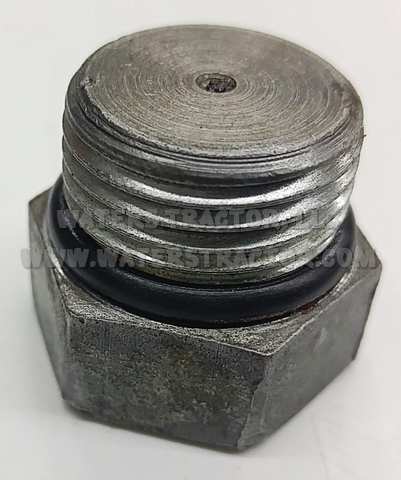 Plug, 7/8-14 O/R Boss