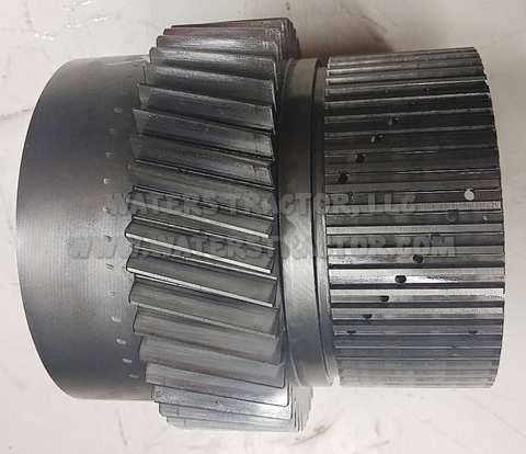 Pinion