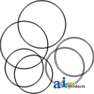 Brake O-Ring Kit, Brake Piston & Differential Bearing Carrier
