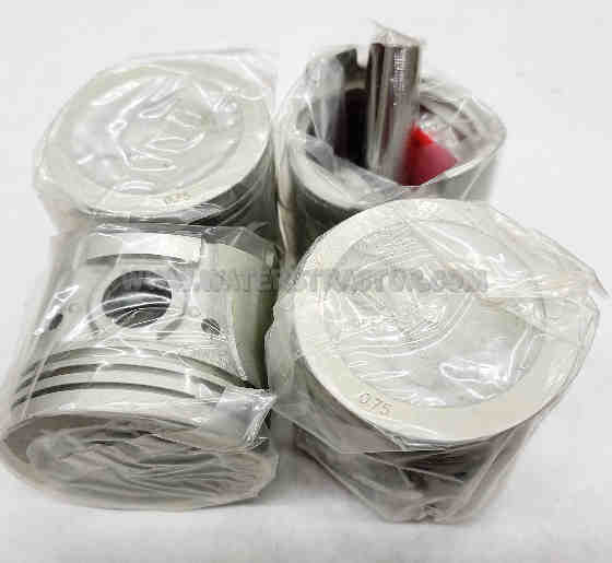 Piston Set - .75MM (.030")