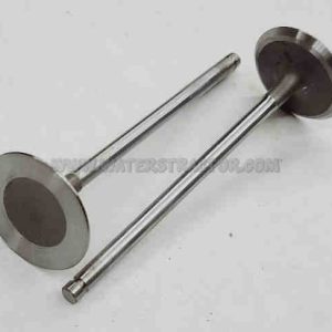 Valve, Intake – 2 pk