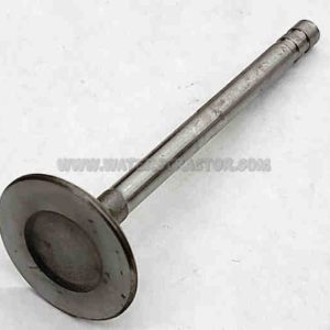 Valve, Intake – 2 pk