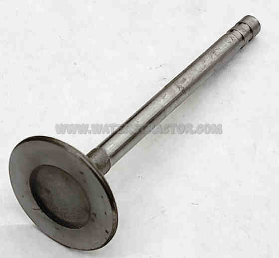Valve, Intake - 2 pk