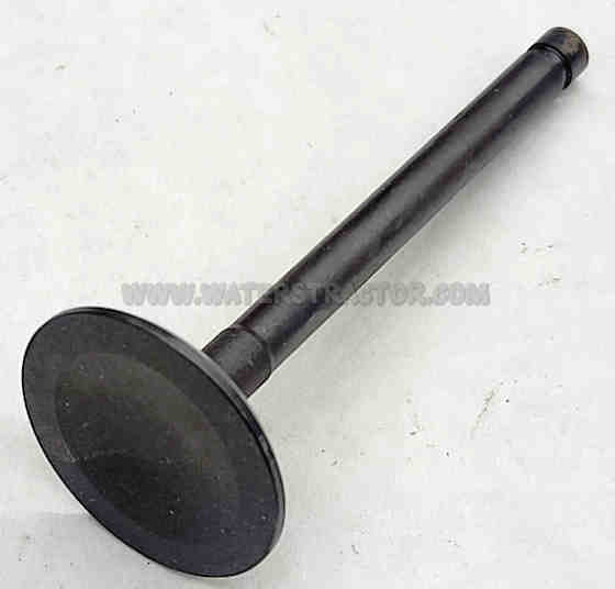 Valve, Intake