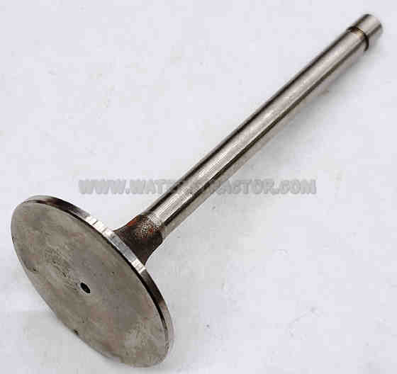 Valve, Intake