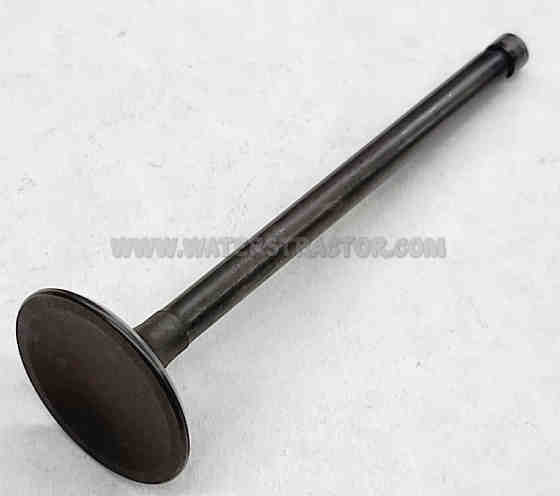 Valve, Intake