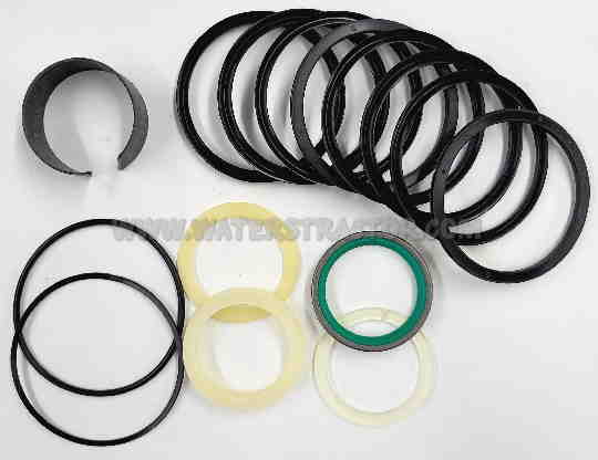Seal Kit, Hydraulic Cylinder