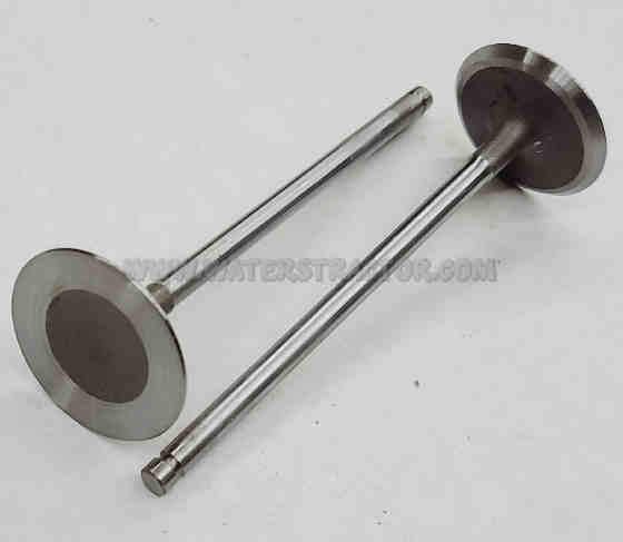 Forklift Valve, Intake - 2 PK