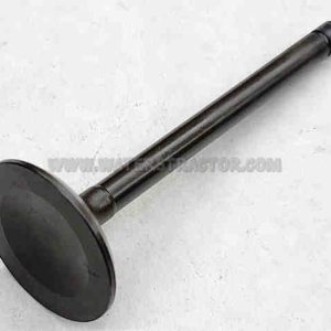 Forklift Valve, Intake