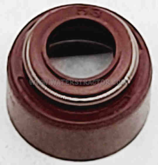 Forklift Seal, Valve Stem