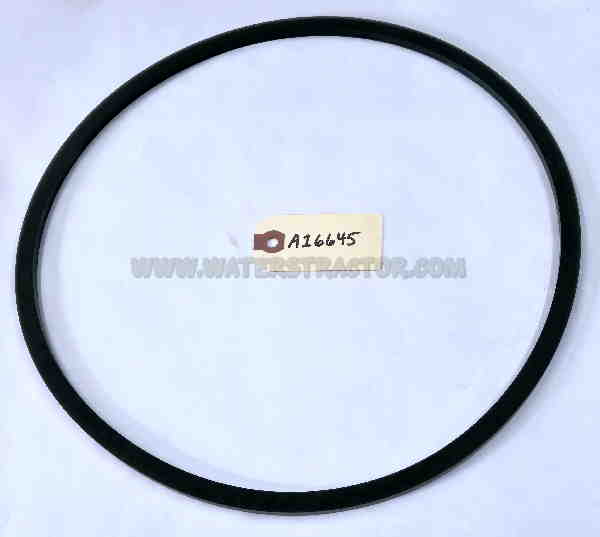 Case IH Internationa Sealing Ring