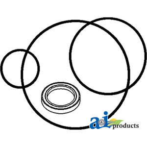 Case IH Internationa Brake Disc Seal Kit